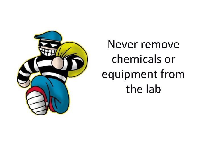 Never remove chemicals or equipment from the lab 