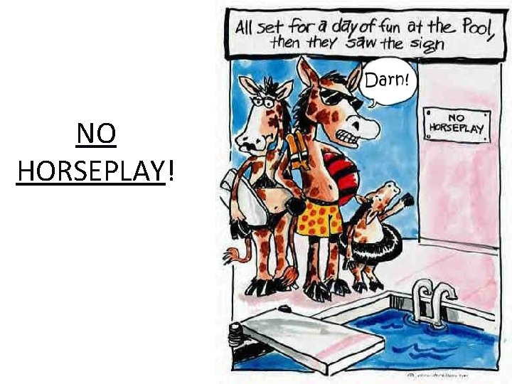 NO HORSEPLAY! 