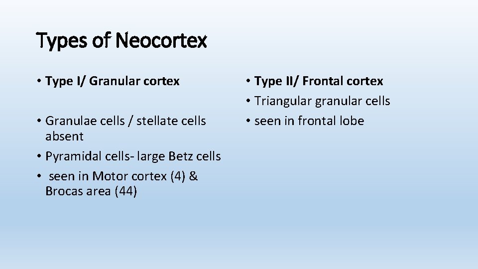 Types of Neocortex • Type I/ Granular cortex • Granulae cells / stellate cells