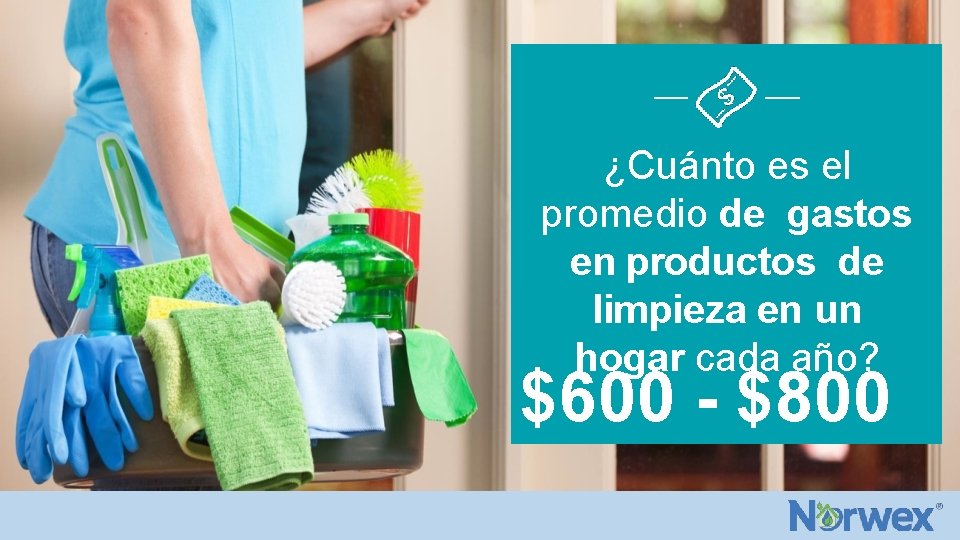 ¿Cuánto es el promedio de gastos en productos de limpieza en un hogar cada