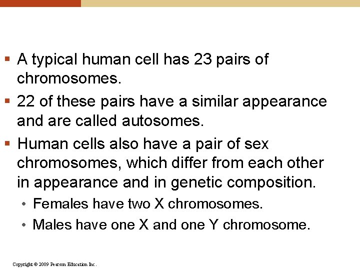 § A typical human cell has 23 pairs of chromosomes. § 22 of these