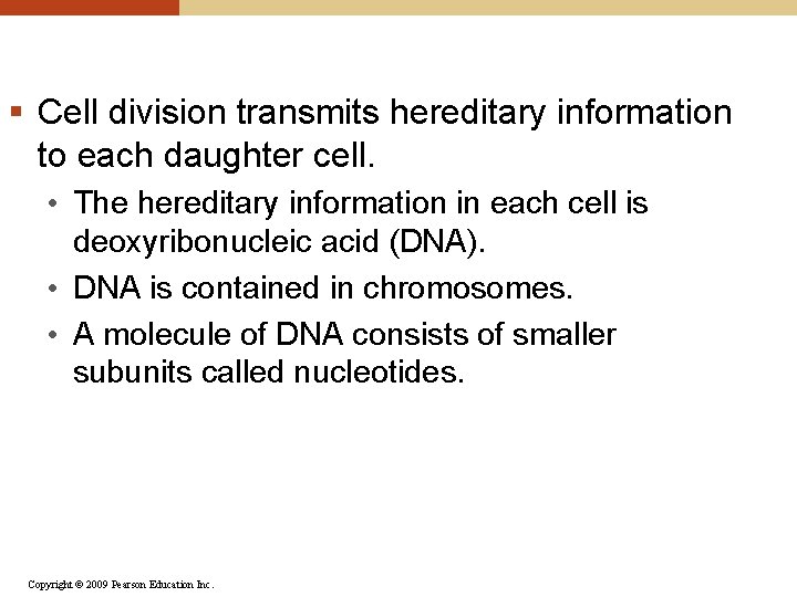 § Cell division transmits hereditary information to each daughter cell. • The hereditary information