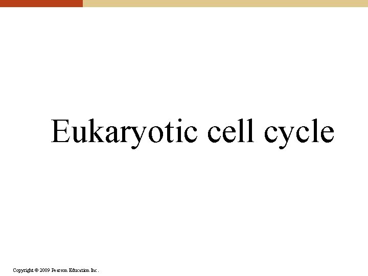 Eukaryotic cell cycle Copyright © 2009 Pearson Education Inc. 