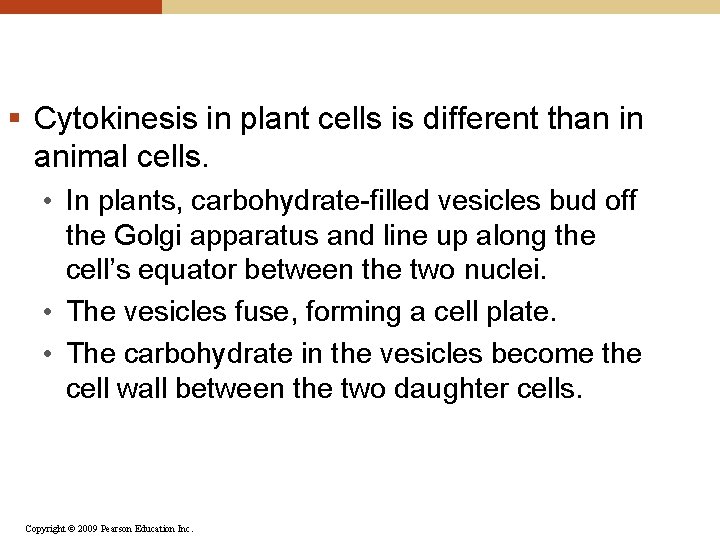 § Cytokinesis in plant cells is different than in animal cells. • In plants,