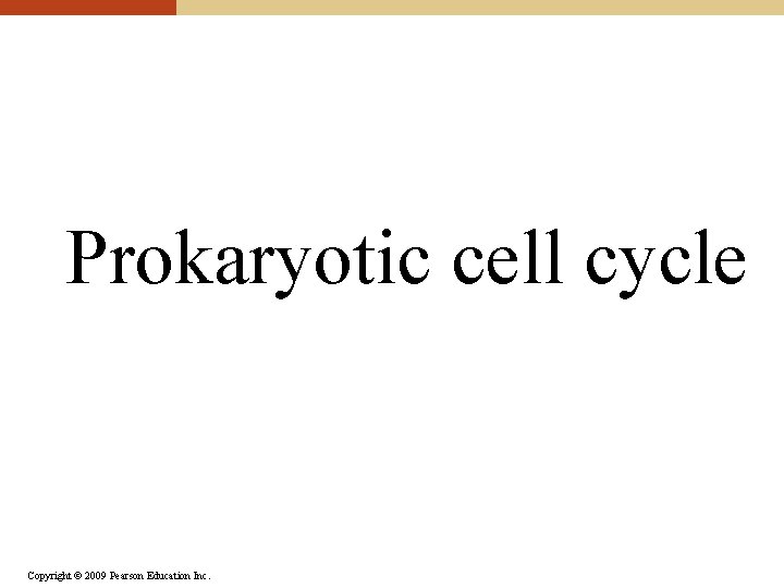 Prokaryotic cell cycle Copyright © 2009 Pearson Education Inc. 