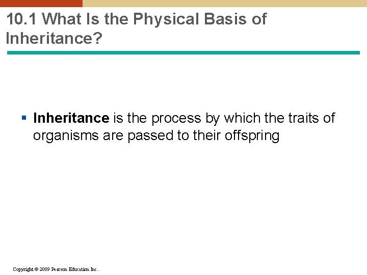 10. 1 What Is the Physical Basis of Inheritance? § Inheritance is the process