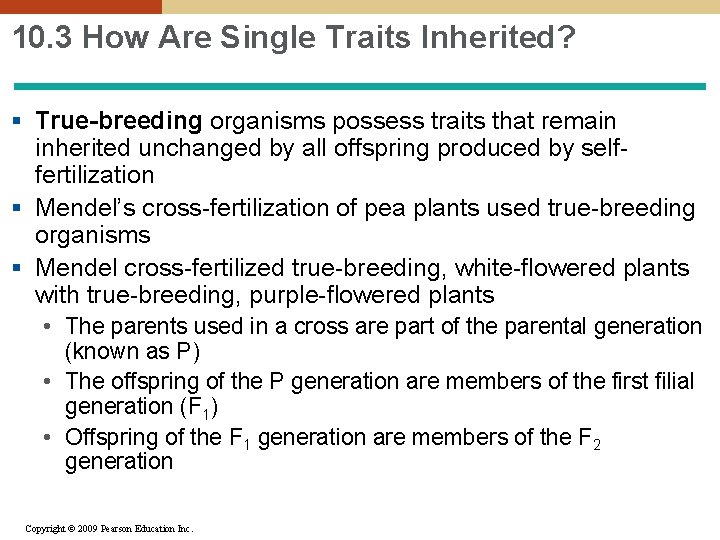 10. 3 How Are Single Traits Inherited? § True-breeding organisms possess traits that remain