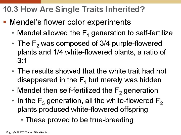10. 3 How Are Single Traits Inherited? § Mendel’s flower color experiments • Mendel