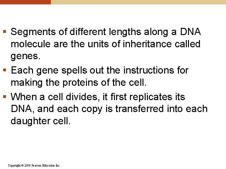 § Segments of different lengths along a DNA molecule are the units of inheritance