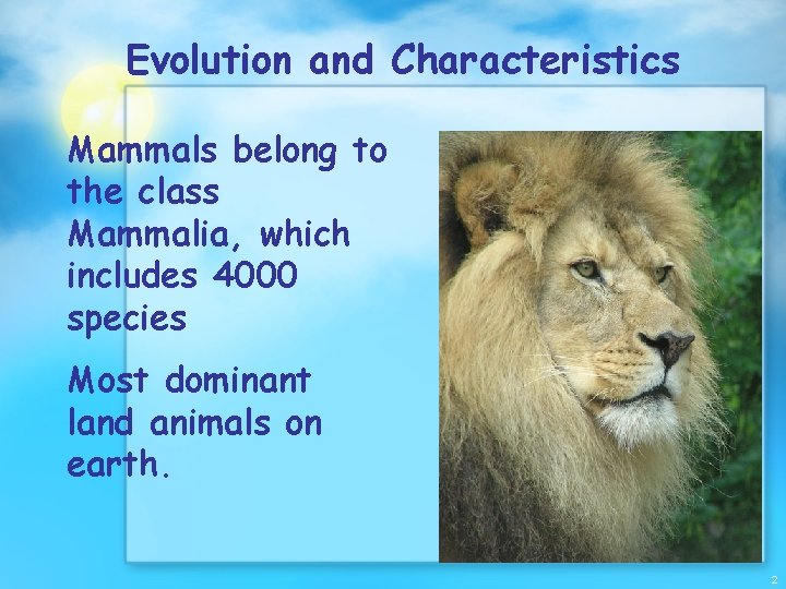 Evolution and Characteristics Mammals belong to the class Mammalia, which includes 4000 species Most