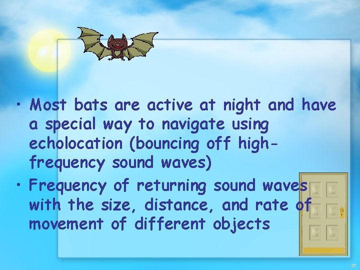  • Most bats are active at night and have a special way to