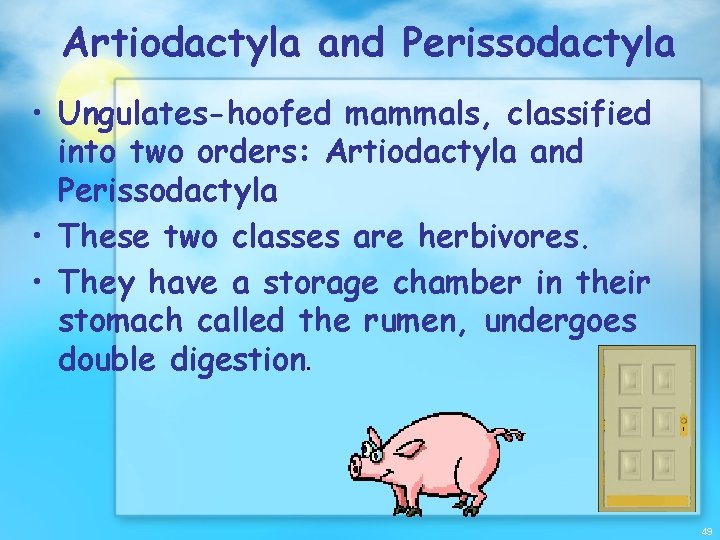 Artiodactyla and Perissodactyla • Ungulates-hoofed mammals, classified into two orders: Artiodactyla and Perissodactyla •