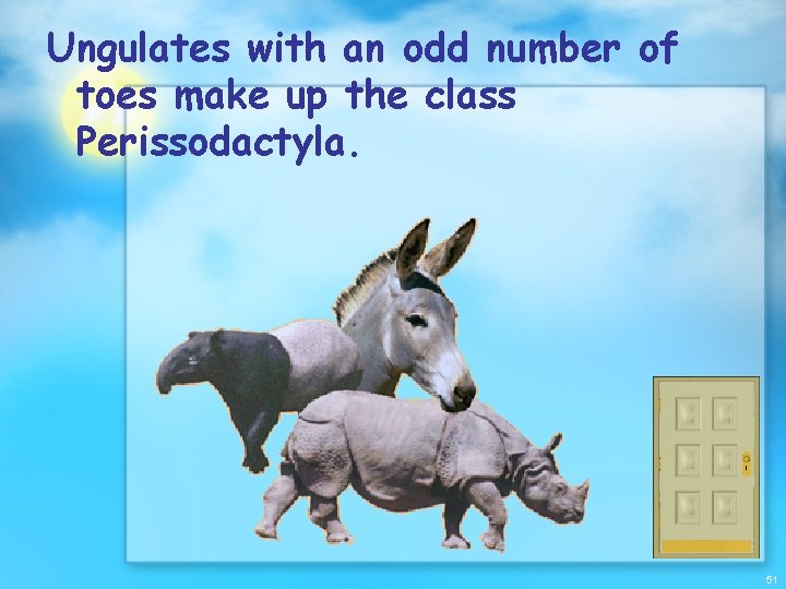 Ungulates with an odd number of toes make up the class Perissodactyla. 51 