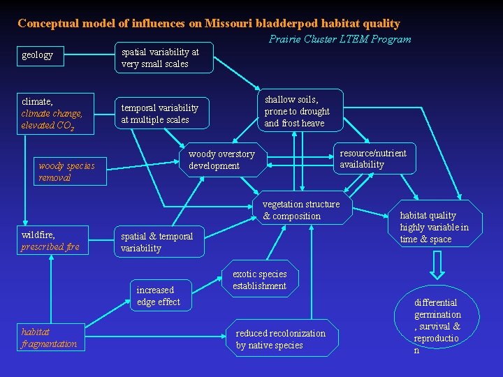 Conceptual model of influences on Missouri bladderpod habitat quality Prairie Cluster LTEM Program geology