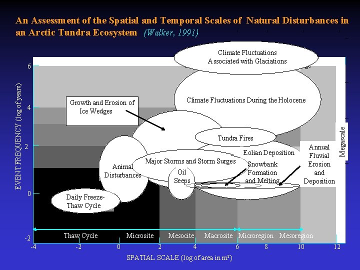 An Assessment of the Spatial and Temporal Scales of Natural Disturbances in an Arctic
