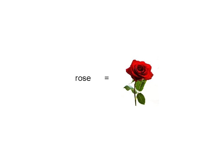 rose = 
