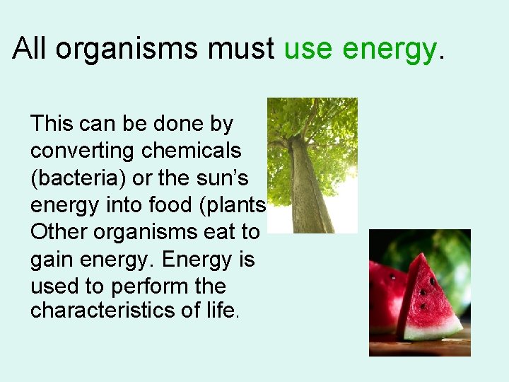 All organisms must use energy. This can be done by converting chemicals (bacteria) or