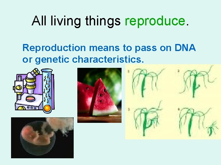 All living things reproduce. Reproduction means to pass on DNA or genetic characteristics. 