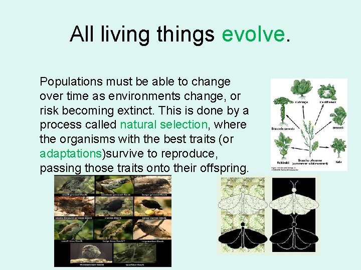All living things evolve. Populations must be able to change over time as environments