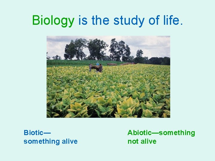 Biology is the study of life. Biotic— something alive Abiotic—something not alive 