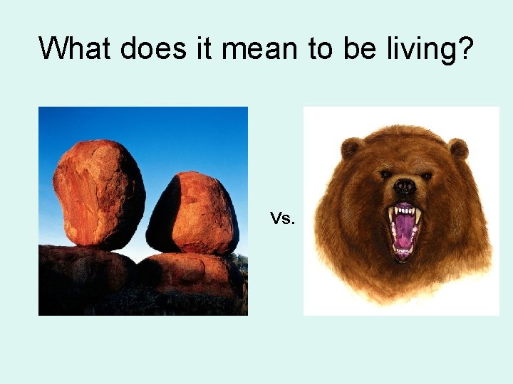 What does it mean to be living? Vs. 