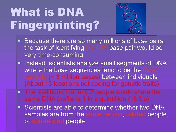 What is DNA Fingerprinting? § Because there are so many millions of base pairs,