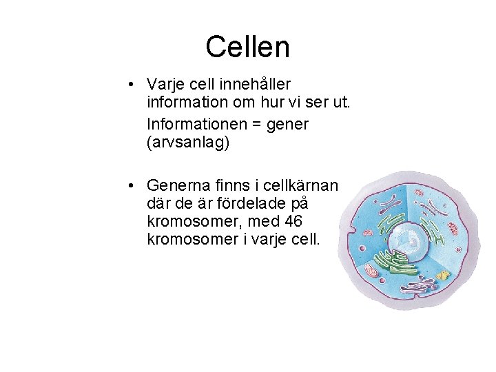 Cellen • Varje cell innehåller information om hur vi ser ut. Informationen = gener