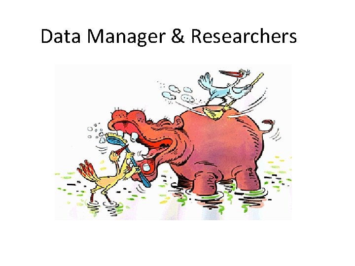 Data Manager & Researchers 