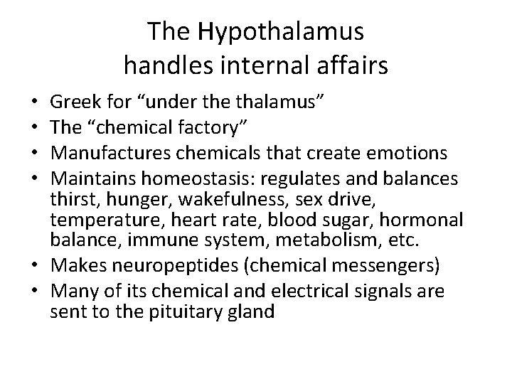 The Hypothalamus handles internal affairs Greek for “under the thalamus” The “chemical factory” Manufactures