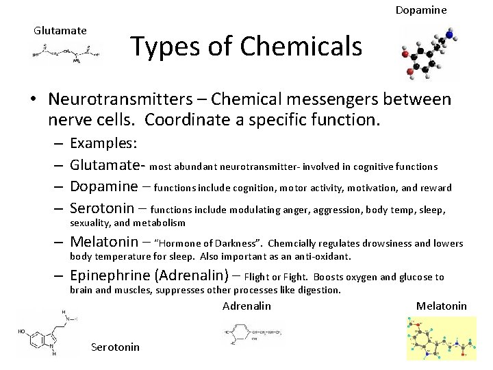 Dopamine Glutamate Types of Chemicals • Neurotransmitters – Chemical messengers between nerve cells. Coordinate
