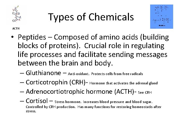 Types of Chemicals ACTH • Peptides – Composed of amino acids (building blocks of