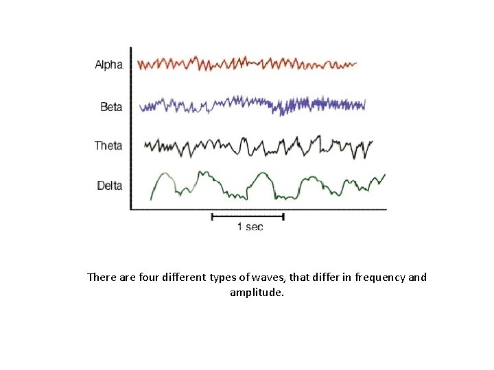 There are four different types of waves, that differ in frequency and amplitude. 
