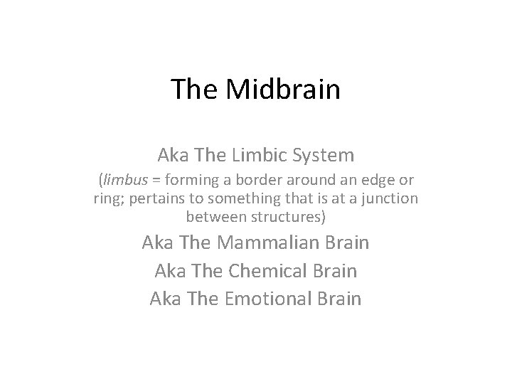 The Midbrain Aka The Limbic System (limbus = forming a border around an edge