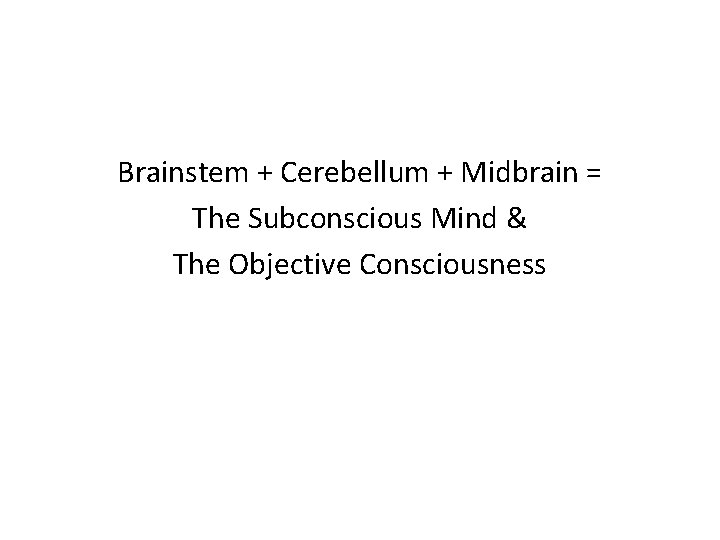 Brainstem + Cerebellum + Midbrain = The Subconscious Mind & The Objective Consciousness 