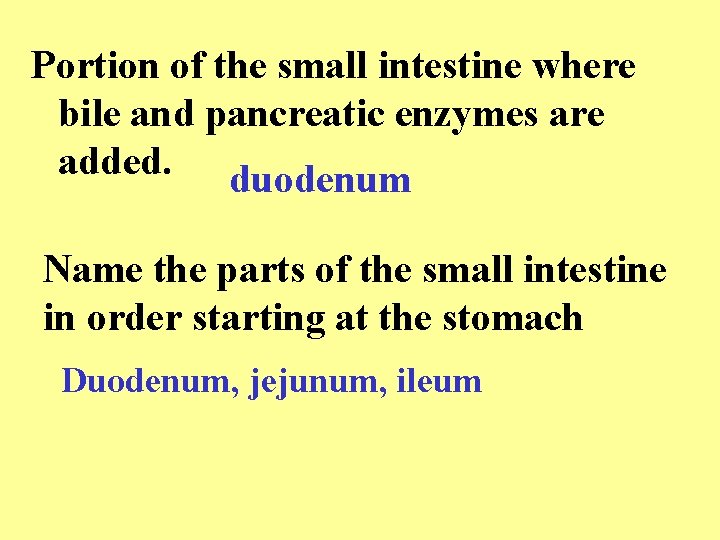 Portion of the small intestine where bile and pancreatic enzymes are added. duodenum Name