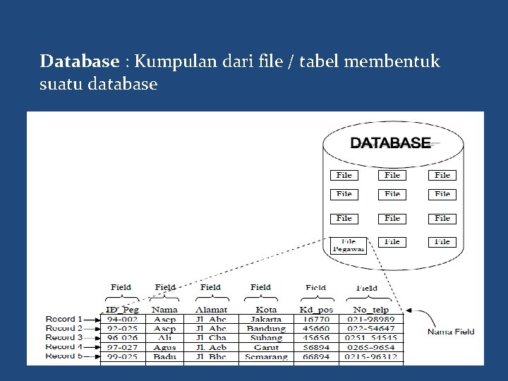 Database : Kumpulan dari file / tabel membentuk suatu database 