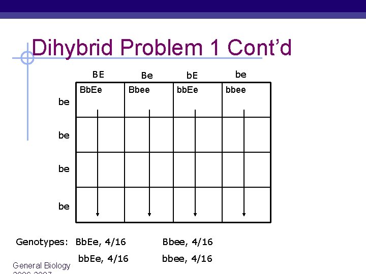 Dihybrid Problem 1 Cont’d BE Bb. Ee Be Bbee b. E be bb. Ee Dihybrid Problem 1 Cont’d BE Bb. Ee Be Bbee b. E be bb. Ee