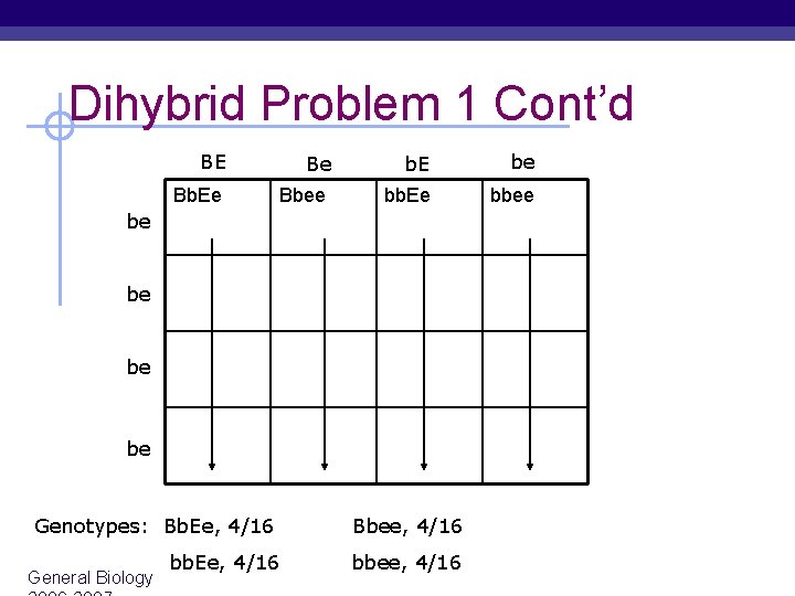 Dihybrid Problem 1 Cont’d BE Bb. Ee Be Bbee b. E be bb. Ee