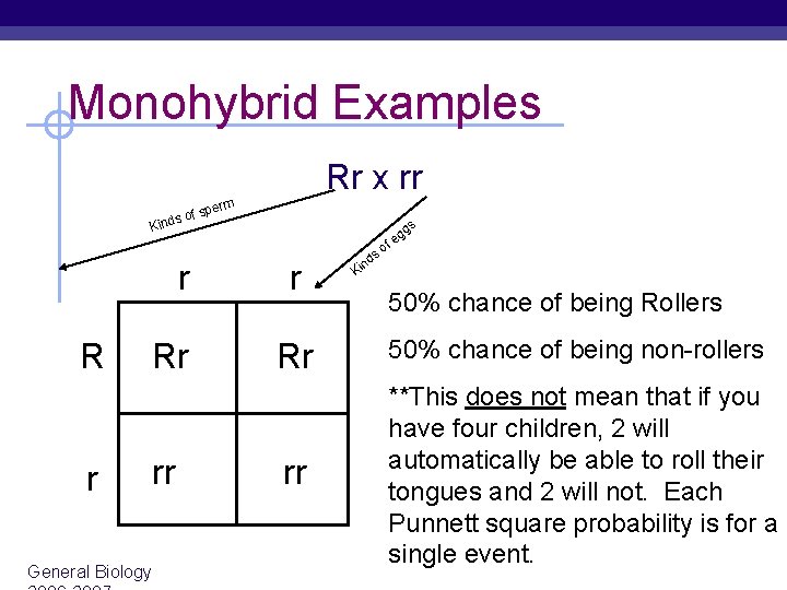 Monohybrid Examples Rr x rr rm f spe ds o Kin r R r