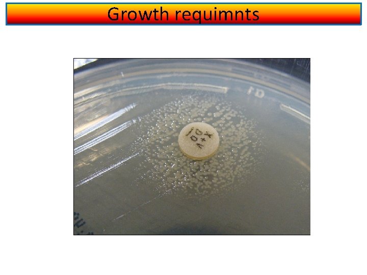 Growth requimnts 