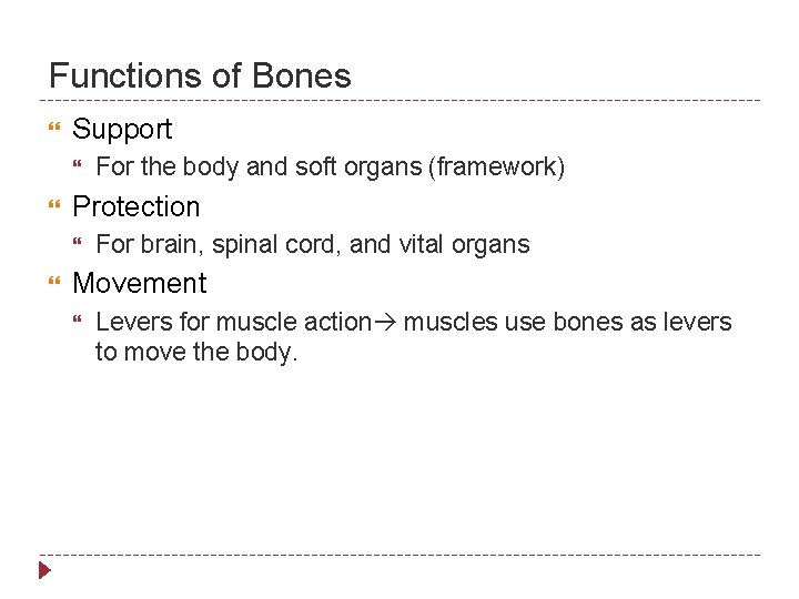 Functions of Bones Support Protection For the body and soft organs (framework) For brain,