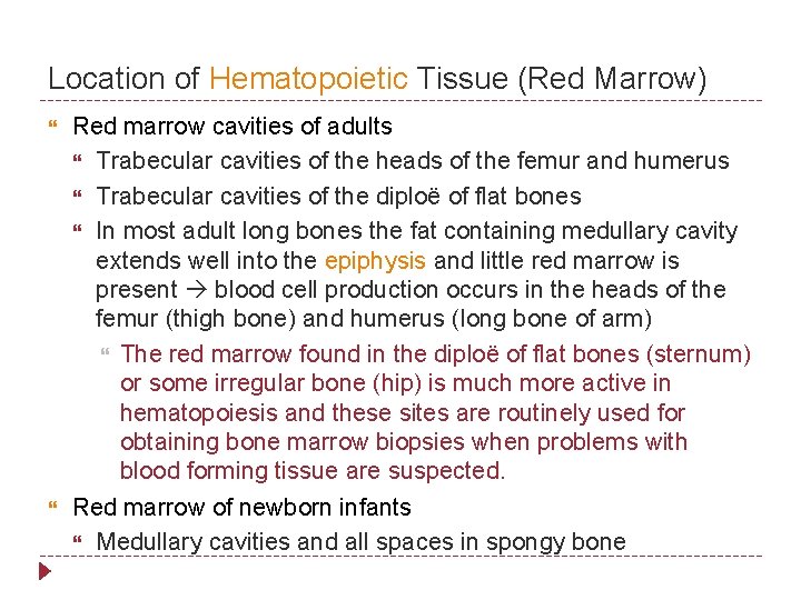 Location of Hematopoietic Tissue (Red Marrow) Red marrow cavities of adults Trabecular cavities of