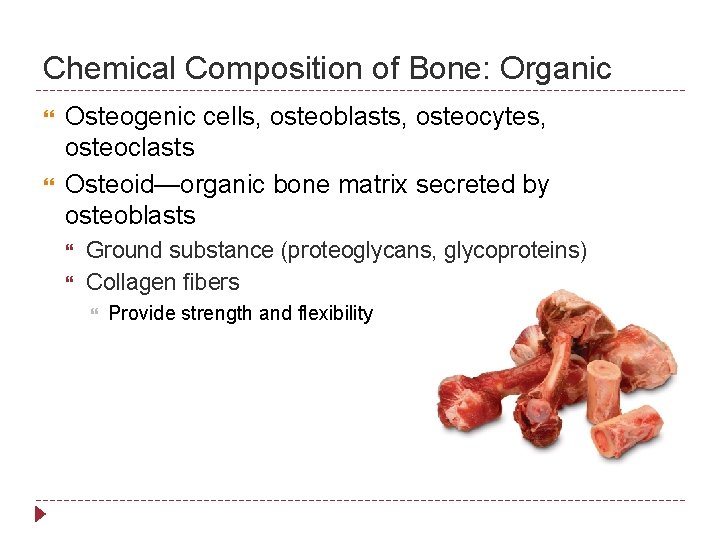 Chemical Composition of Bone: Organic Osteogenic cells, osteoblasts, osteocytes, osteoclasts Osteoid—organic bone matrix secreted