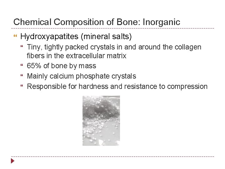 Chemical Composition of Bone: Inorganic Hydroxyapatites (mineral salts) Tiny, tightly packed crystals in and