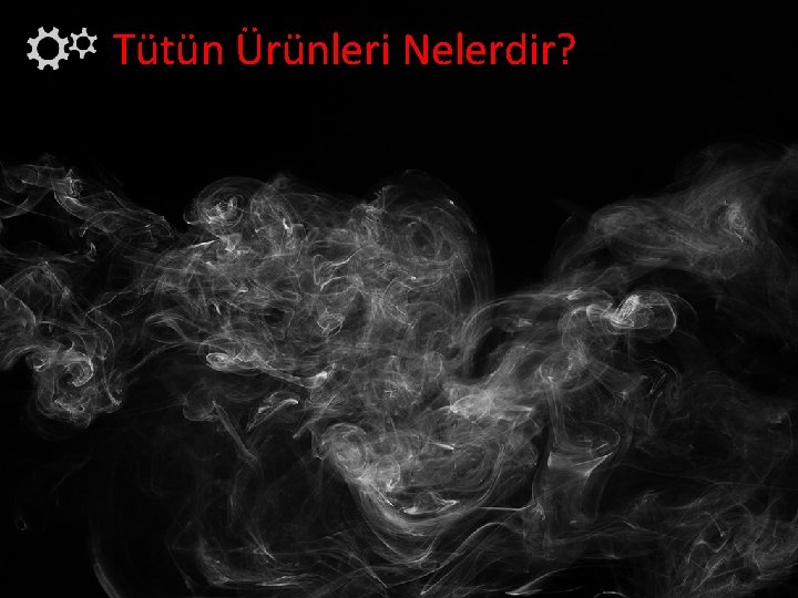 Tütün Ürünleri Nelerdir? 