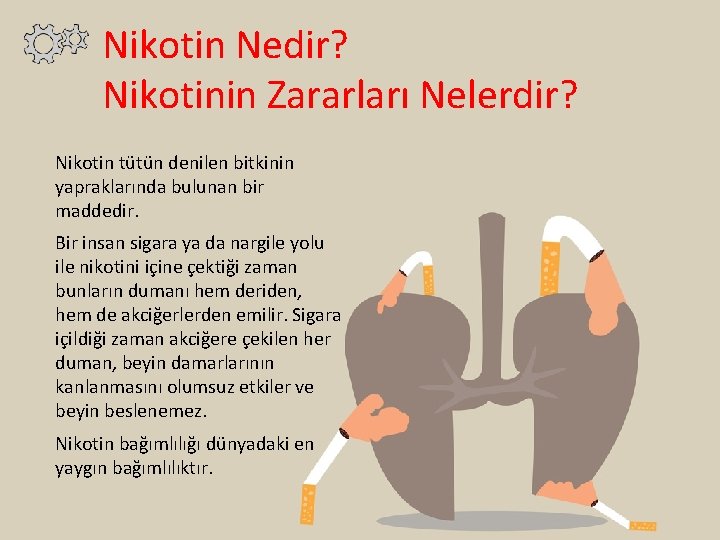 Nikotin Nedir? Nikotinin Zararları Nelerdir? Nikotin tütün denilen bitkinin yapraklarında bulunan bir maddedir. Bir