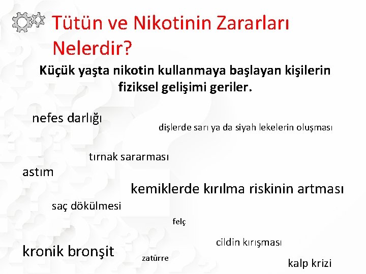 Tütün ve Nikotinin Zararları Nelerdir? Küçük yaşta nikotin kullanmaya başlayan kişilerin fiziksel gelişimi geriler.