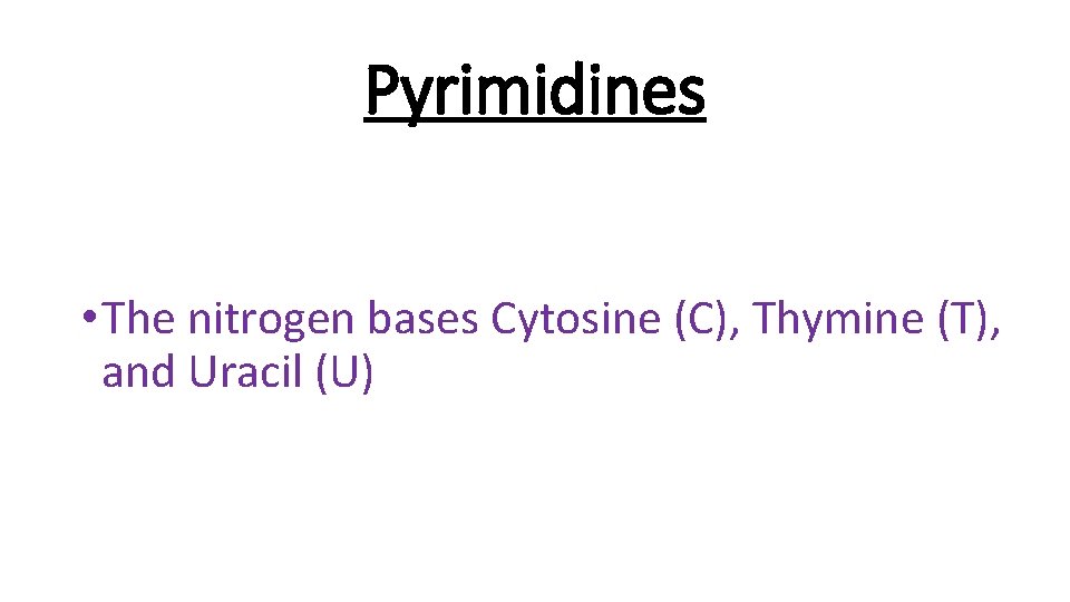 Pyrimidines • The nitrogen bases Cytosine (C), Thymine (T), and Uracil (U) 