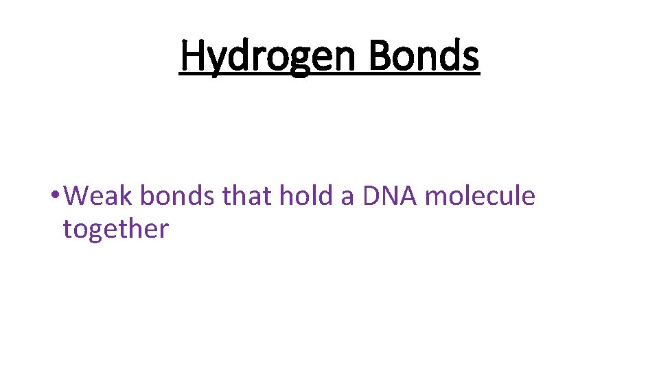 Hydrogen Bonds • Weak bonds that hold a DNA molecule together 