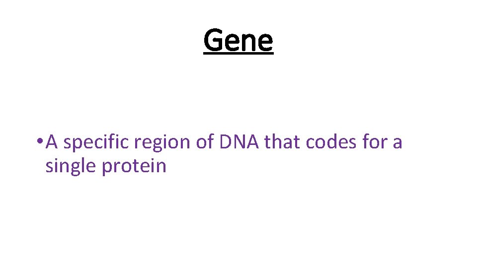 Gene • A specific region of DNA that codes for a single protein 